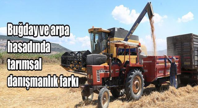 Buğday ve arpa hasadında tarımsal danışmanlık farkı