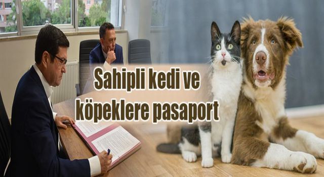 Sahipli kedi ve köpeklere pasaport