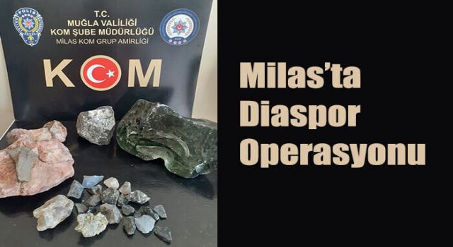 Milas’ta Diaspor Taşı Ele Geçirildi