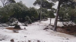 Milas'a yılın ilk karı düştü..