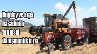 Buğday ve arpa hasadında tarımsal danışmanlık farkı