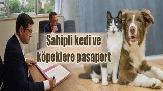 Sahipli kedi ve köpeklere pasaport