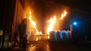 Balık yemi fabrikasında Korkutan Yangın.