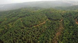 Milas’ta Ormanlık Alanda Maden Projesi İçin Başvuru Yapılmıştı İzin Verilmedi