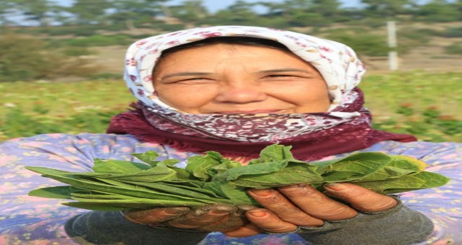 -Dünya Kadın Çiftçiler Günü kutlu olsun…